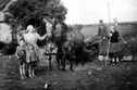 Landarbeit mit Pferdegespann