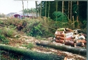 Sturmschaden in der Heidesiedlung 1992